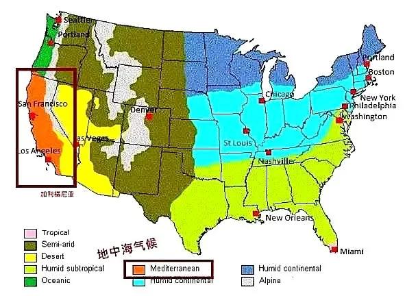 地中海气候的特点是冬季温暖湿润,夏季干燥少雨,被称为最适合人类生活