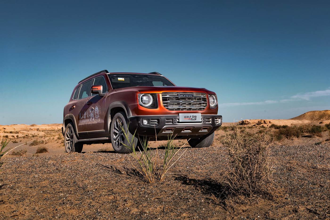 好看好开好玩养只哈弗大狗就够了