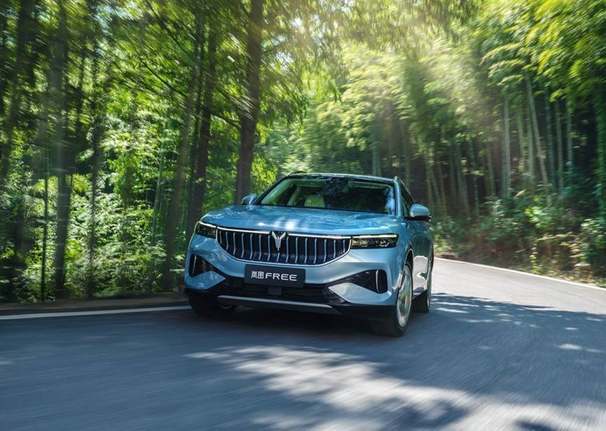 宇尘说车 火热暑 驾 出游岚图free越级配置诠释高品质驾乘 水滴汽车