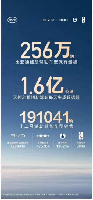 256 万 + 用户共同选择，比亚迪辅助驾驶跑出加速度